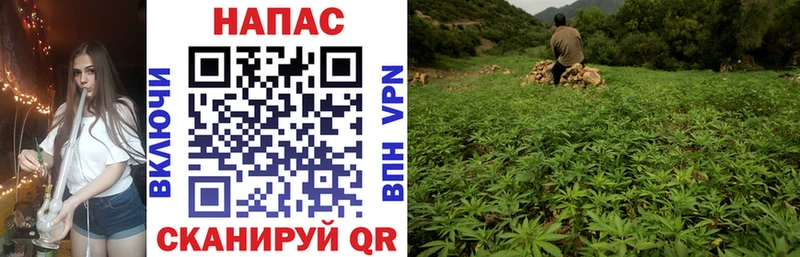 Где можно купить наркотики Родники Гашиш Марихуана Alpha PVP МЕФ Cocaine