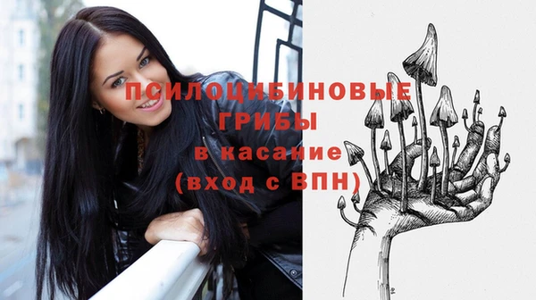 ECSTASY Алексин
