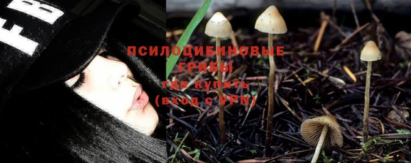 гашик Алексеевка