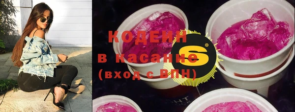 гашик Алексеевка