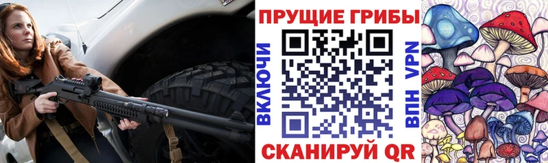 дарнет шоп  кракен как зайти  Галлюциногенные грибы Psilocybine cubensis  Родники 