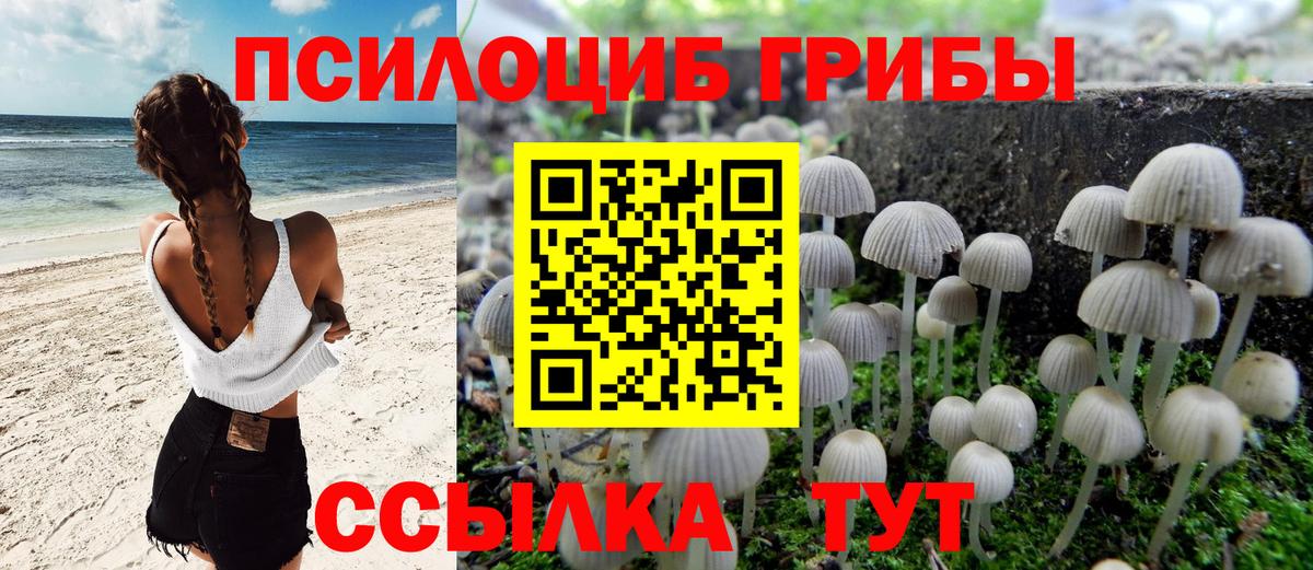 Родники  Галлюциногенные грибы Psilocybine cubensis  Вход с VPN 