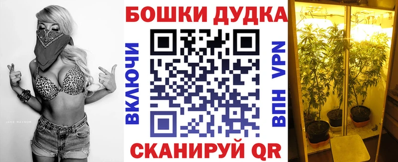 купить наркотики цена  Родники  Марихуана ГИДРОПОН 