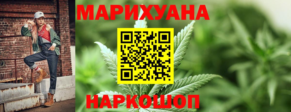 Канабис OG Kush Родники
